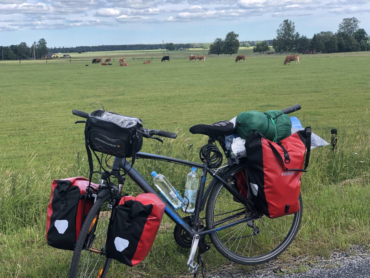 Bikepacking with animals