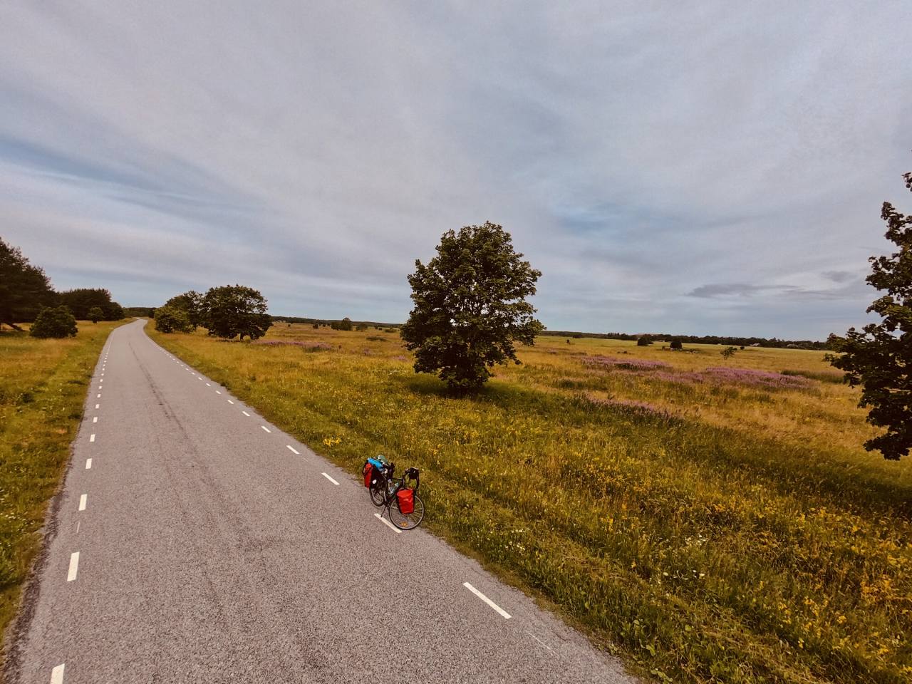 Biking in Estonia 1 2